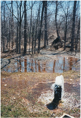 Figure 12-1 shows a flowing well discharging groundwater above the top of the well casing and causing a flooding problem.
