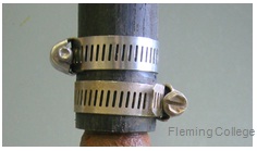This is an image of 2 stainless steel clamps with stainless steel screws. Picture courtesy of Fleming College.