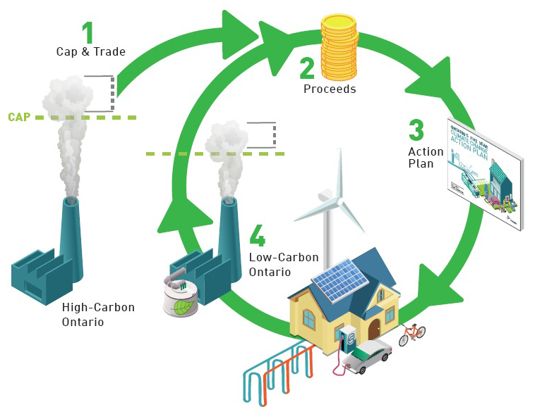 This image illustrates the virtuous cycle of how the cap and trade program will work together with the climate change action plan. When the cap and trade program comes into effect, the auctioning of allowances will generate proceeds that will fund initiatives to reduce greenhouse gases. The action plan specifies the initiatives to be funded. These initiatives will assist the transition to a low-carbon Ontario. As the emissions cap is lowered, proceeds will continue to be generated and fund future action plan initiatives that will further reduce emissions.