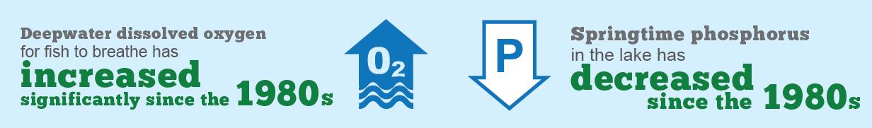 This infographic shows an arrow with “oxygen” written inside it indicating deepwater dissolved oxygen for fish to breathe has increased significantly since the 1980s. Beside it there is an arrow with the letter P in it pointing downwards to indicate the springtime phosphorus in the lake has decreased over the same time frame.