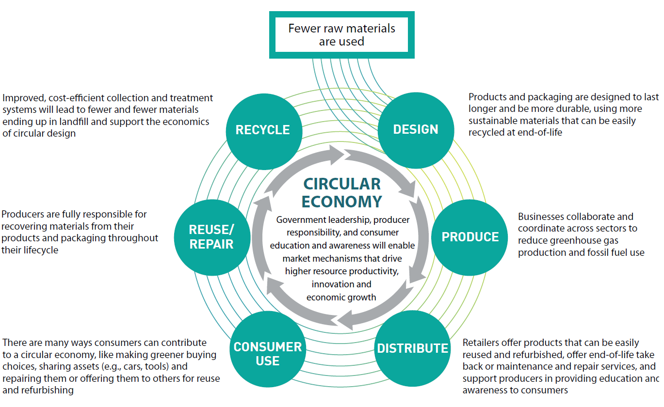 In a circular economy, government leadership, producer responsibility, and consumer education and awareness will enable market mechanisms that drive higher resource productivity, innovation and economic growth. Fewer raw materials are used, which go through the circular economy as follows:

Design: Products and packaging are designed to last longer and be more durable, using more sustainable materials that can be easily recycled at end-of-life.
Produce: Businesses collaborate and coordinate across sectors to reduce greenhouse gas production and fossil fuel use.

Distribute: Retailers offer products that can be easily reused and refurbished, offer end-of-life take back or maintenance and repair services, and support producers in providing education and awareness to consumers.

Consumer use: There are many ways consumers can contribute to a circular economy, like making greener buying choices, sharing assets (e.g., cars, tools) and repairing them, and offering them to others for reuse and refurbishing.

Reuse/Repair: Producers are fully responsible for recovering materials from their products and packaging throughout their lifecycle.

Recycle: Improved, cost-efficient collection and treatment systems will lead to fewer and fewer materials ending up in landfill and support the economics of circular design.