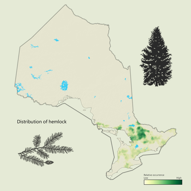 a map of hemlock distribution in Ontario