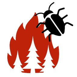 forest fire and pest