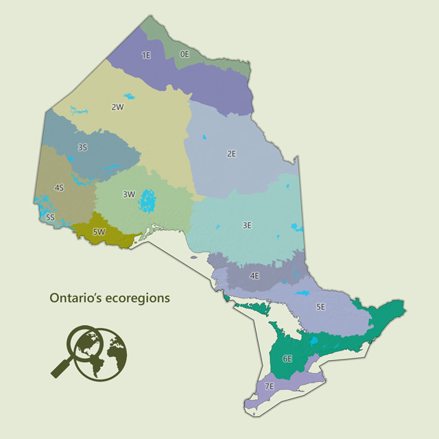 a map of ecoregions in Ontario