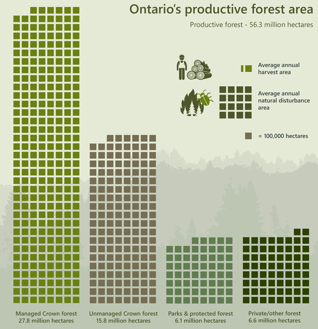 an infographic describing Ontario's 56.3 million hectares of productive forest depicted by small squares representing area.