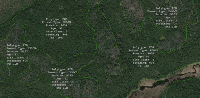 example of Forest Resource Inventory (FRI) stand attributes found on each forest stand.