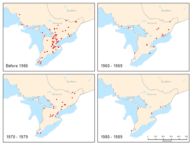 A map showing the distribution of the Nine-spotted Lady Beetle in Ontario from 1895 to 1960, and by decade from 1960 to 1989. This distribution data is described in the document text.