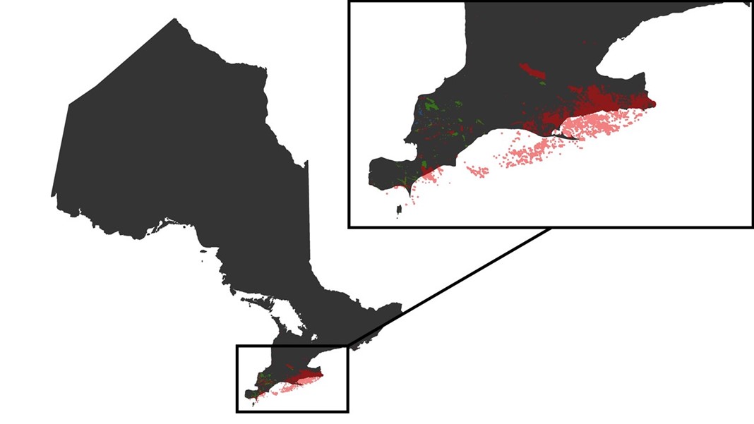 Carte de la province de l’Ontario montrant l’étendue des nappes de pétrole et de gaz naturel connues. Une carte en médaillon montre que les nappes sont surtout dans le Sud-Ouest de l’Ontario, entre Toronto et Windsor.