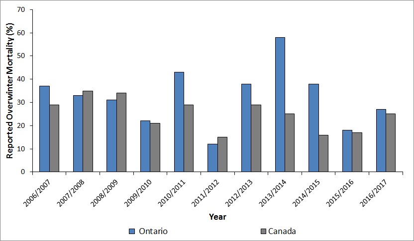 Overwinter mortality (%) reported by commercial beekeepers in Ontario (blue) and Canada (grey) from 2006-2007 to 2016-2017
