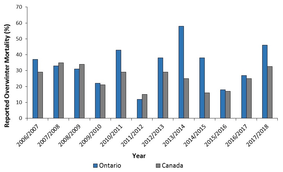 Overwinter mortality (%) reported by commercial beekeepers in Ontario (blue) and Canada (grey) from 2006-2007 to 2017-2018.