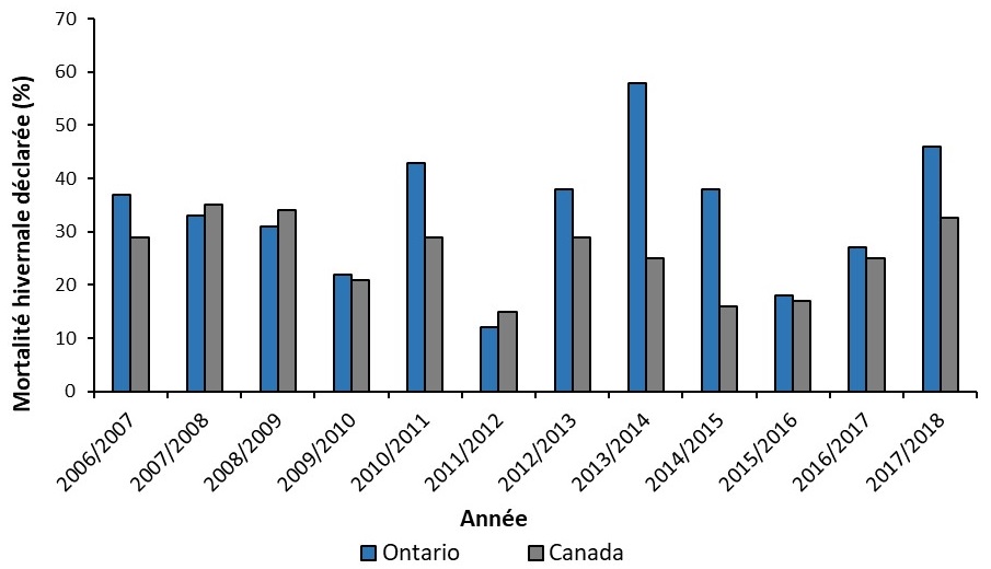 Mortalité hivernale (%) déclarée par les apiculteurs commerciaux de l’Ontario (bleu) et du Canada (gris) de 2006-2007 à 2017-2018.