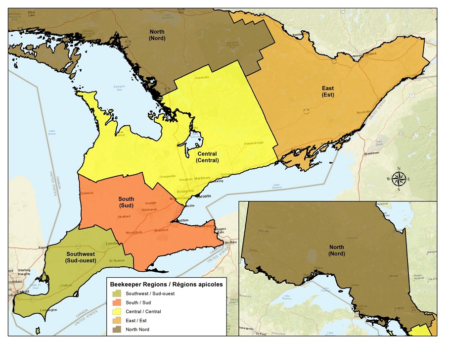 Régions apicoles de l’Ontario