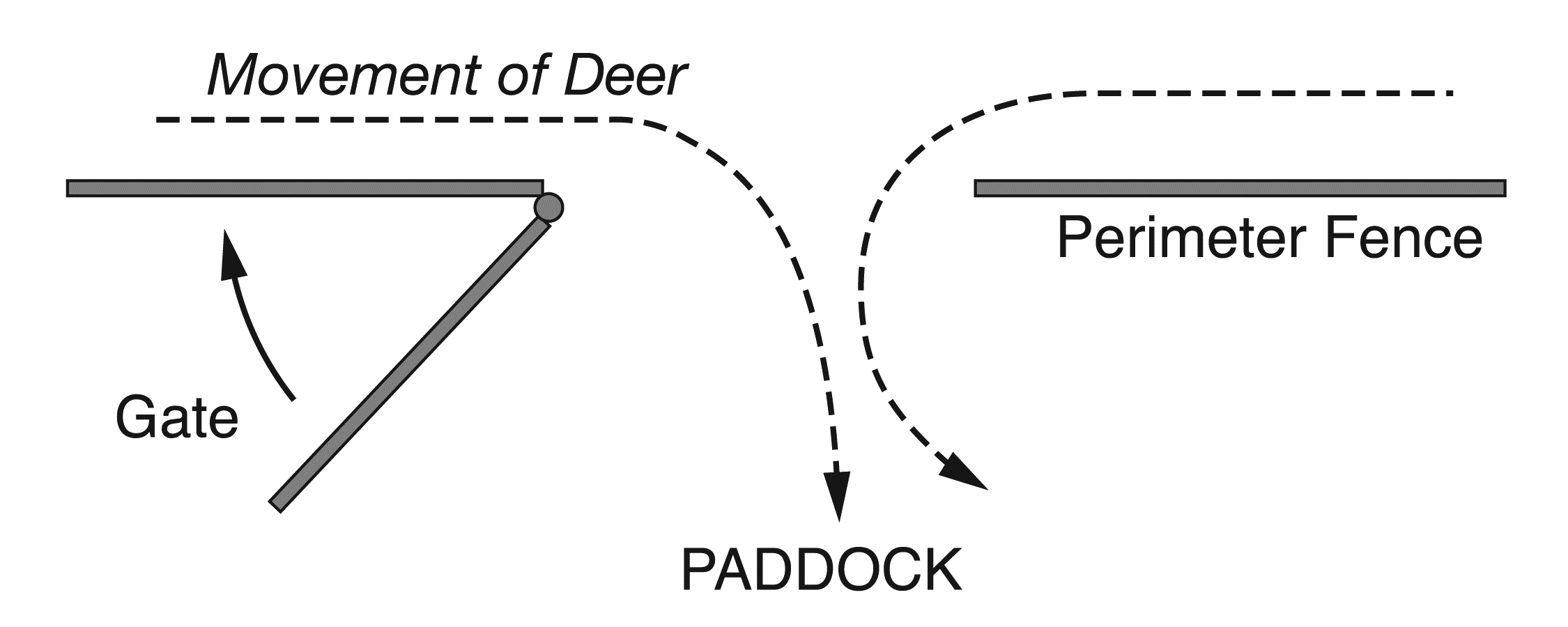 A picture of a grate swung inwards as much as possible to allow deer to enter easily into the paddock.