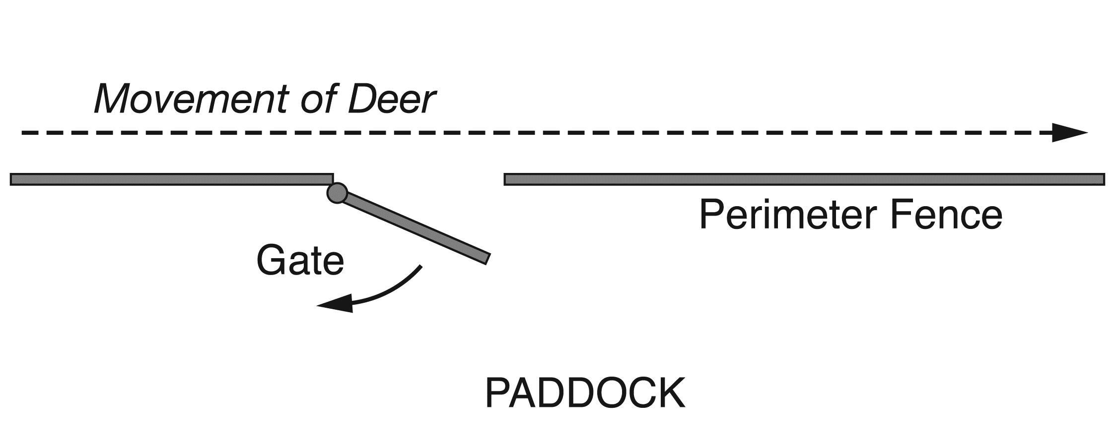 A picture of a gate not swung open enough and too narrow that animal may flow right past the opening.