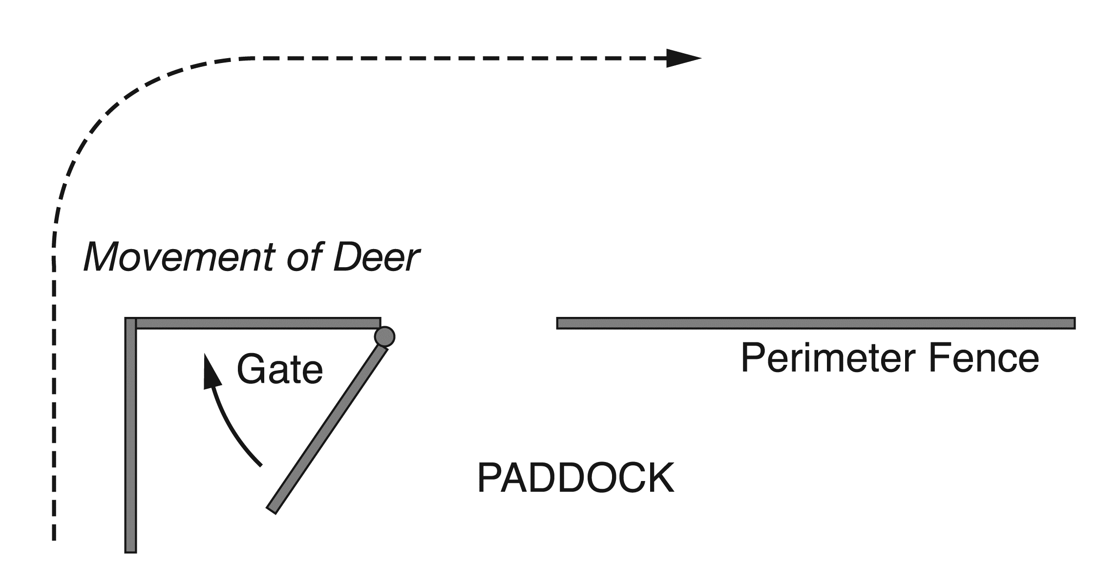 A drawing showing a gate too close to a corner when two peerimeter fences meet, the animals may not turn towards the gate or opening quickly enough.