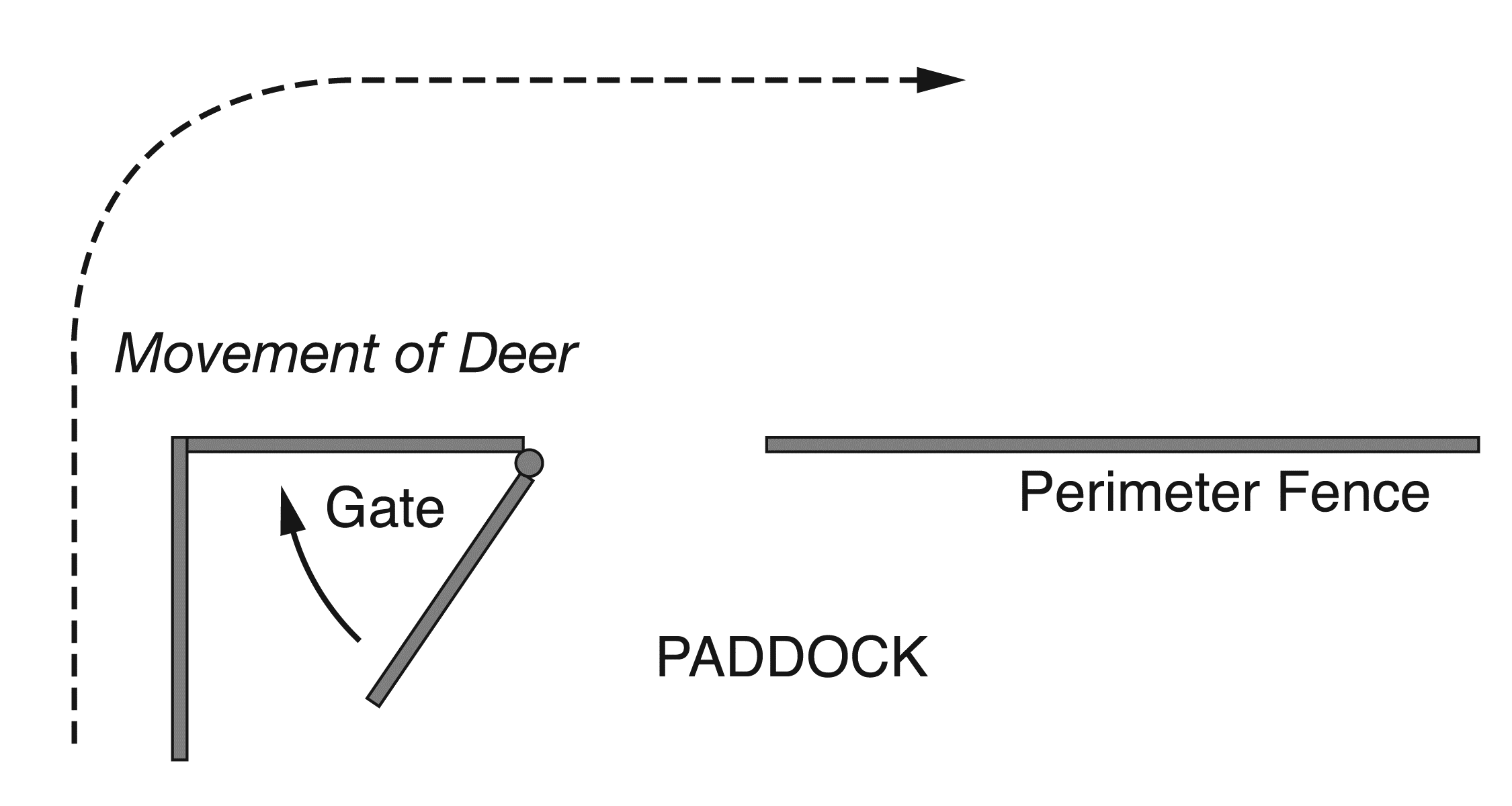 A drawing showing a gate too close to a corner when two peerimeter fences meet,  the animals may not turn towards the gate or opening quickly enough.