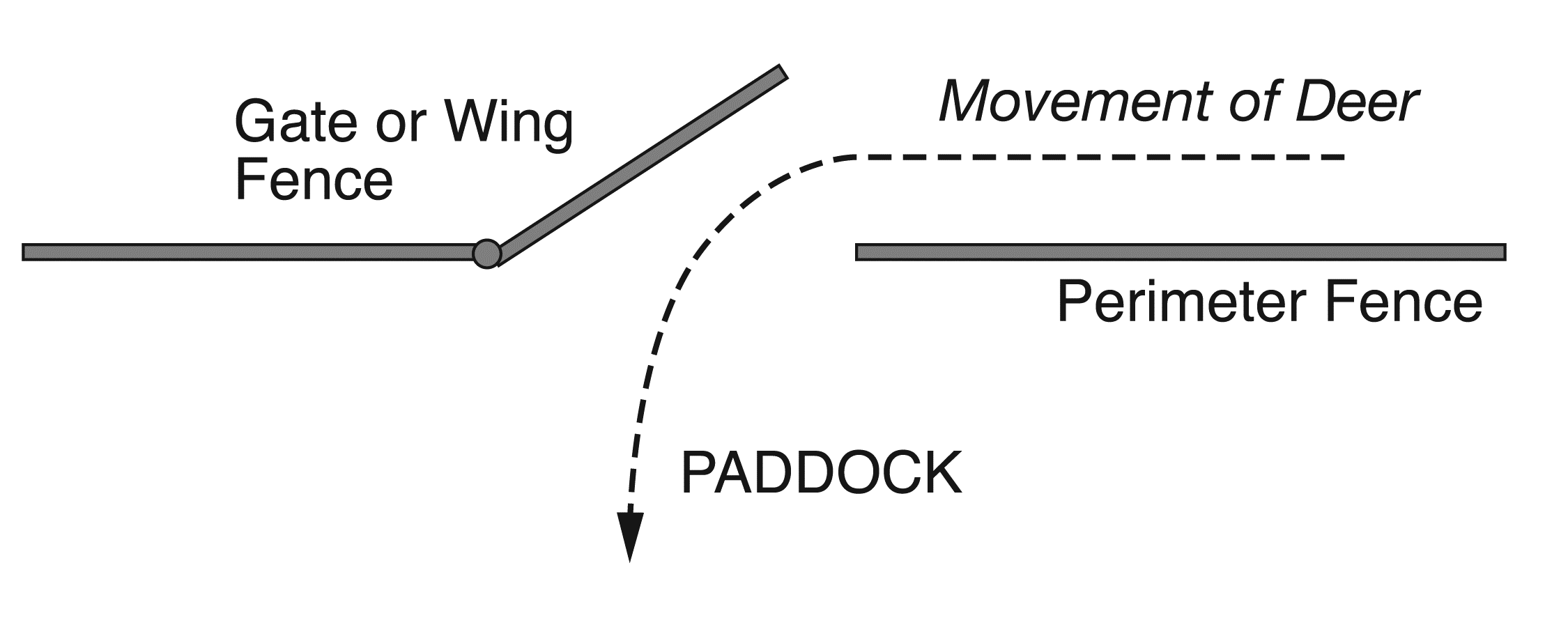 A drawing of a gate swung outwards to help funnel returning deer to the paddock.