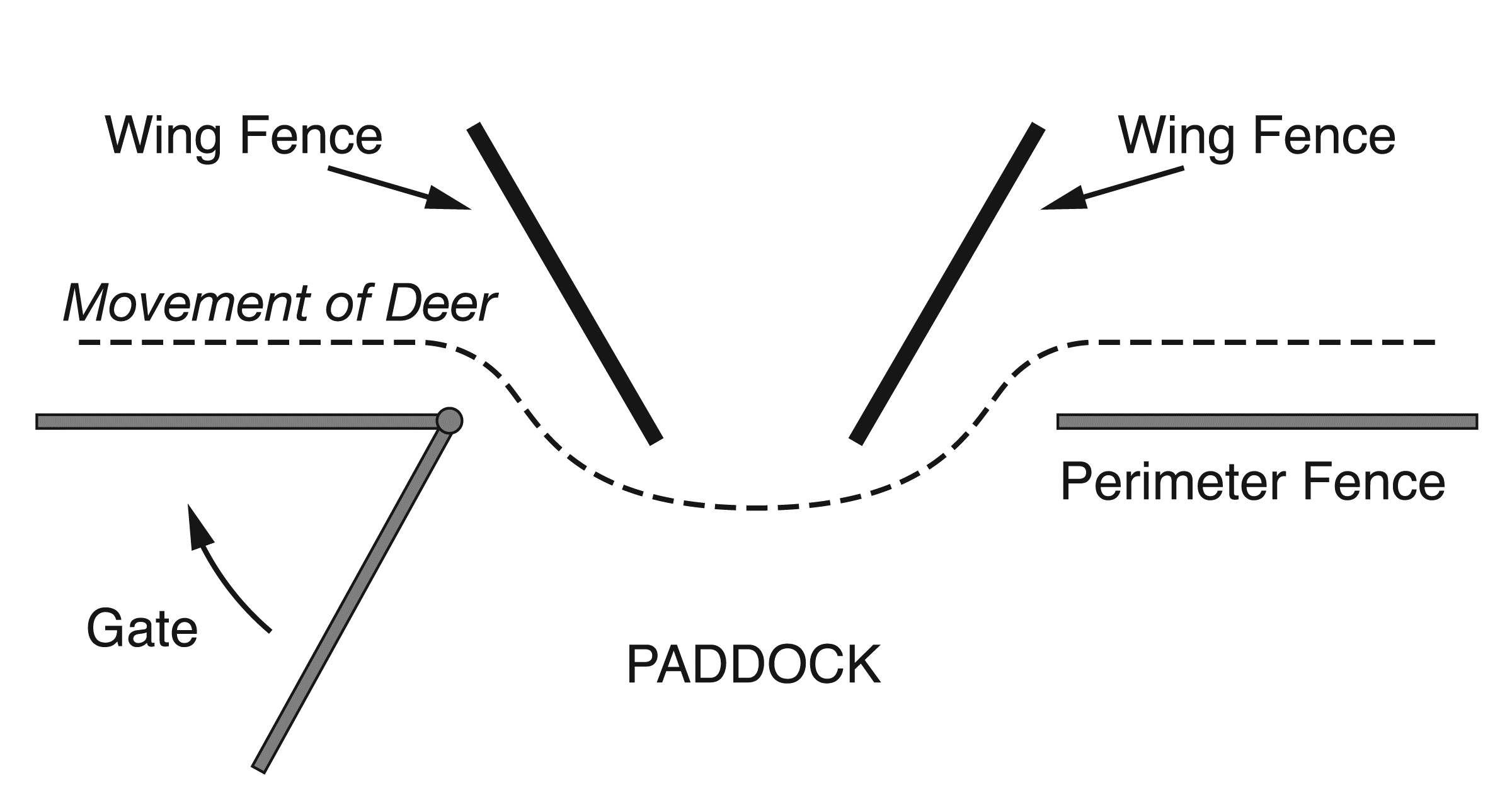 A drawing show wing fences that do not extend far enough into the paddock that the deer may enter along one wing fence and exit out along the other wing fence.