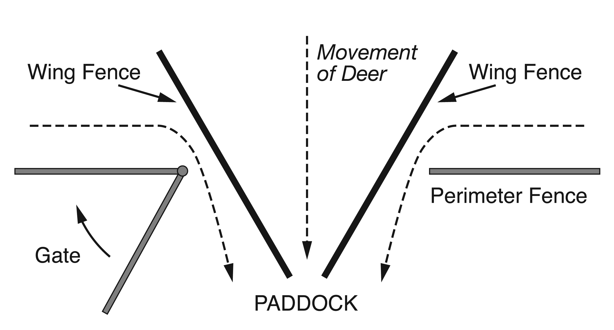 A drawing of wing fences well inside the opeing of the perimeter fence to avoid the problem of deer escaping when entering.