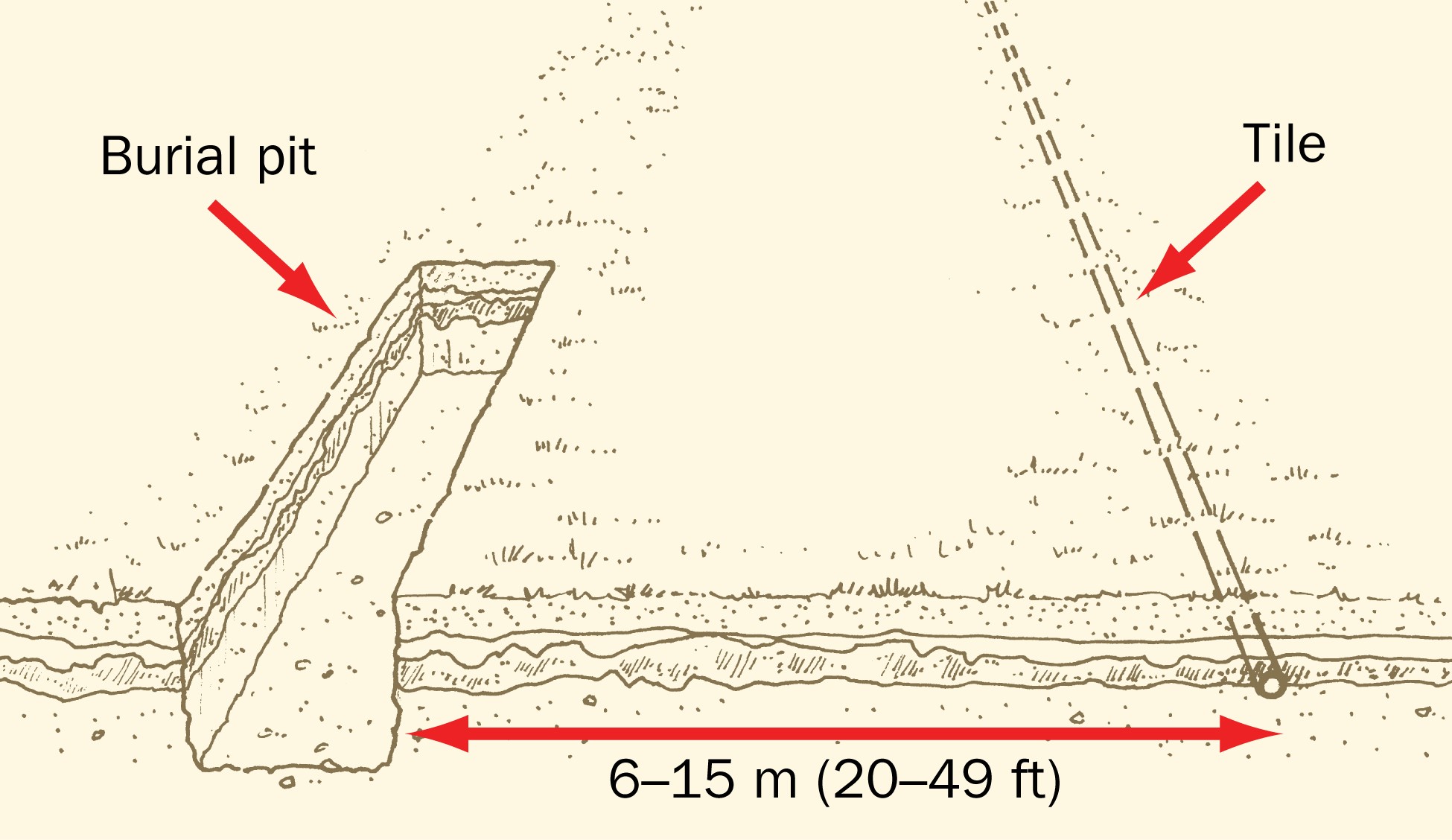 This is an artist’s rendition showing the relative location of a field drainage tile in relation to a burial pit and how every part of that burial pit must be at least 6m (19.7 ft.) from a field drainage tile and in the zone between 6 metres and 15 metres (49.2 feet) from a tile, deadstock must be placed so the highest point of the uppermost deadstock is lower than the lowest point.