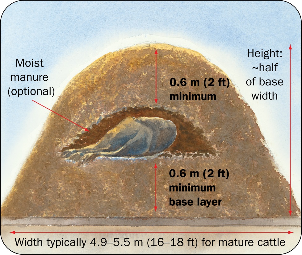 Drawing showing the dimensions of a compost pile containing a carcass in it.