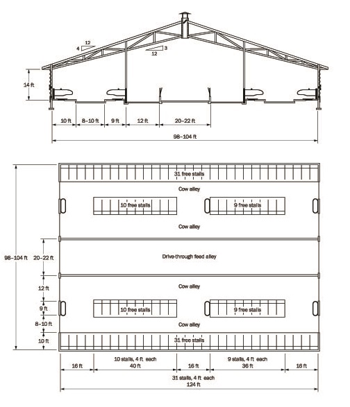 Detailed schematic of a 4-row tail-to-tail dairy barn layout.