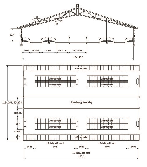 Detailed schematic of a 6-row dairy barn layout.