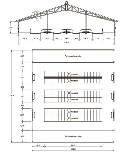 dairy-housing-layout-options-ontario-ca