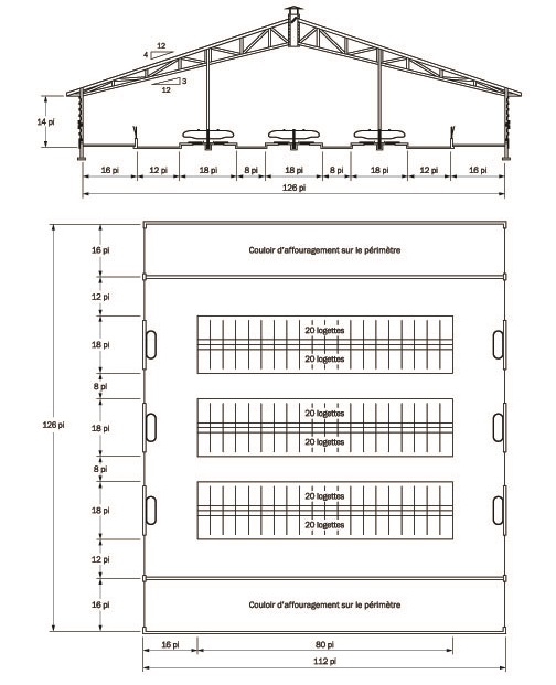 Croquis détaillé d'une étable à stabulation libre à six rangées de logettes dans laquelle la distribution des aliments se fait sur le périmètre du bâtiment.