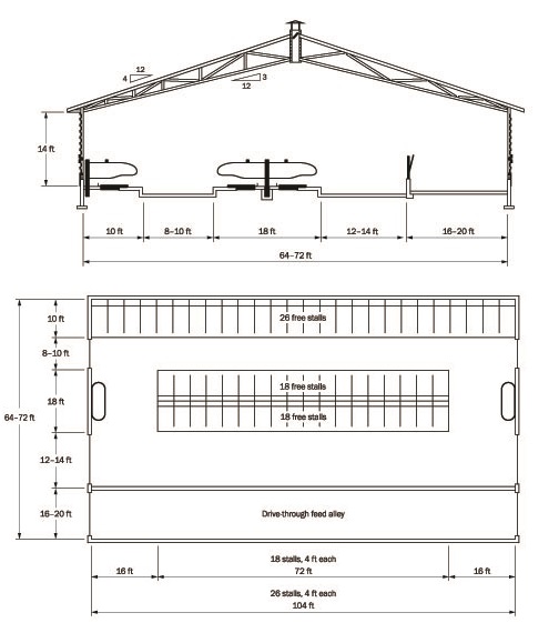 Dairy Housing Layout Options Dairy Producer 0744