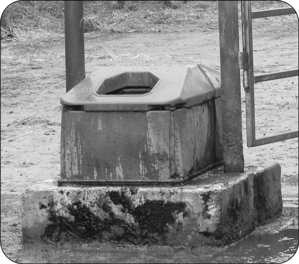 Photo of a frost-free water bowl in a barn.