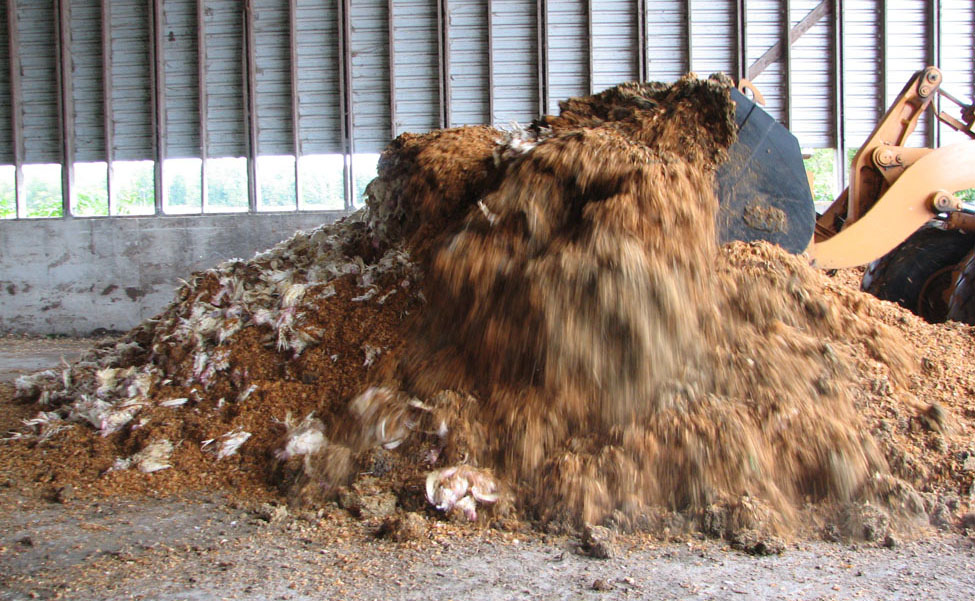 A compost pile, consisting of dead poultry mixed with a substrate, being turned by a front-end loader. The pile is inside a covered structure.