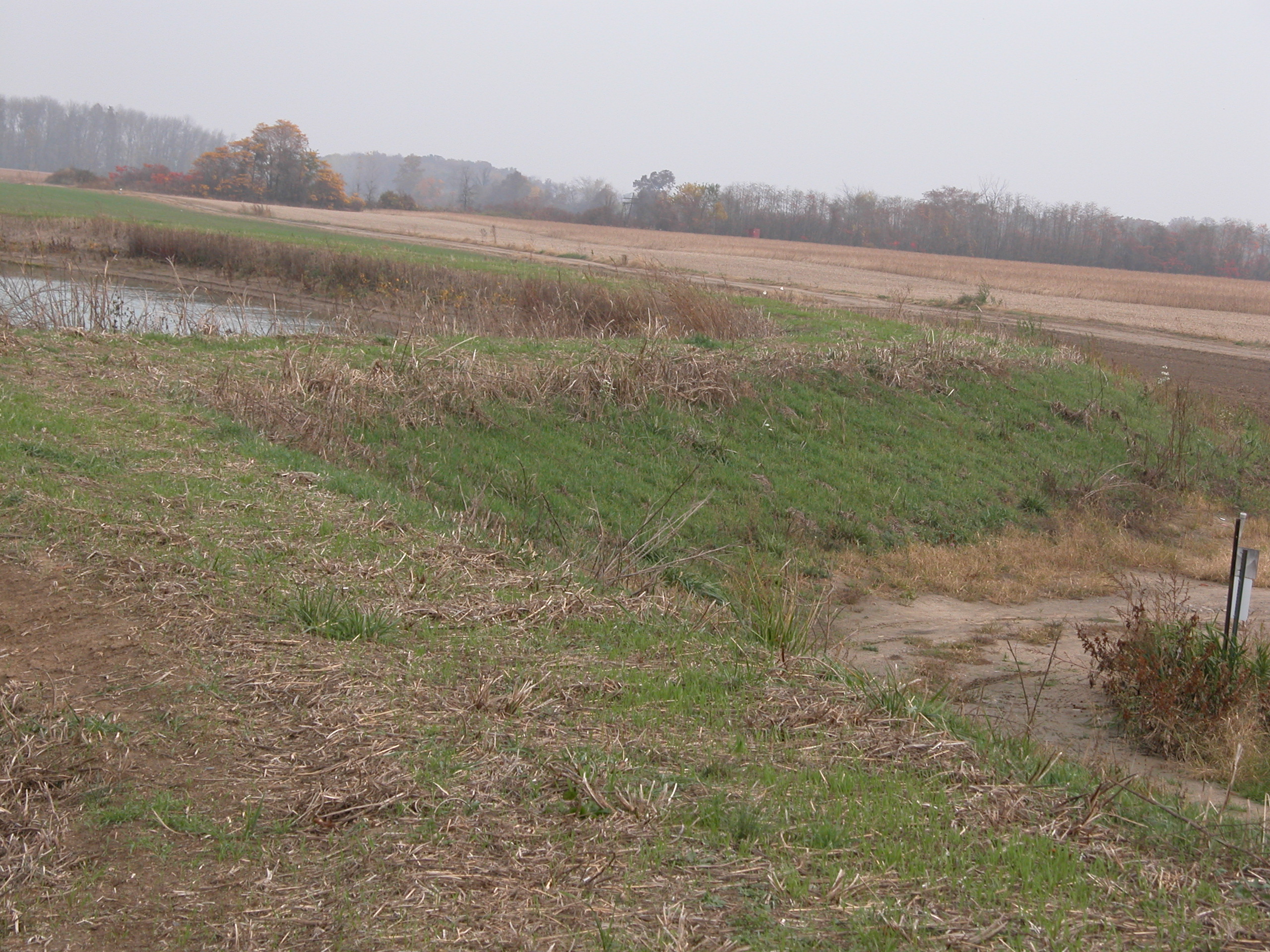 An above and below grade reservoir featuring a seeded bank