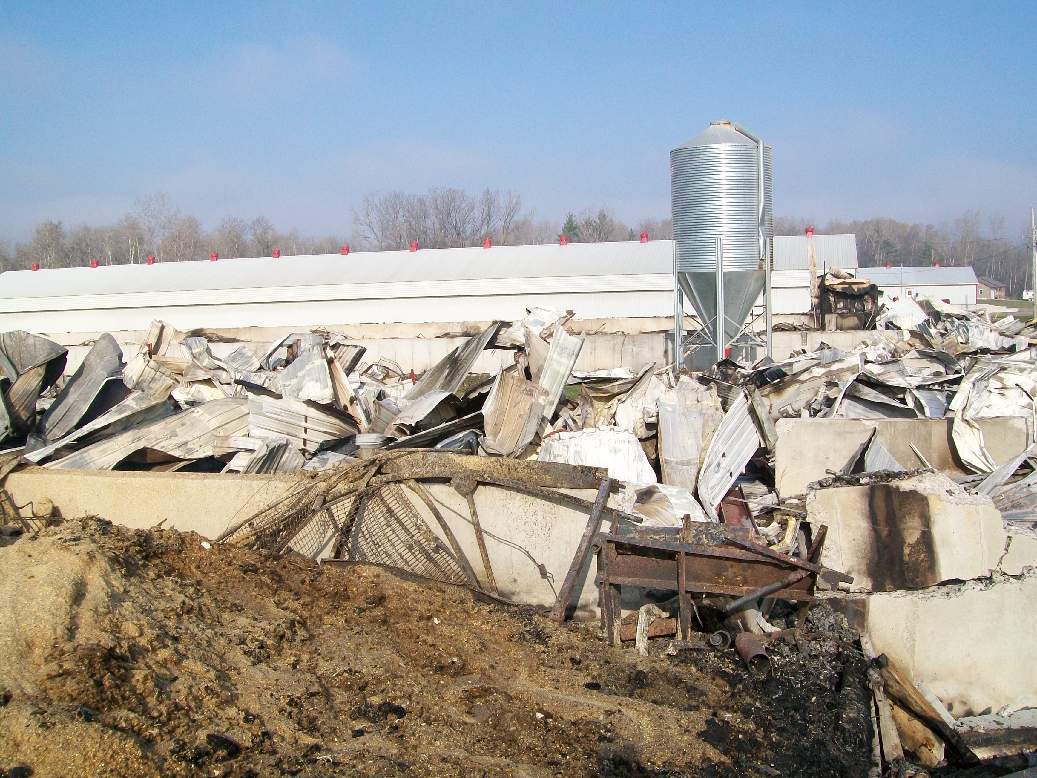 Image shows the rubble that remains from a poultry barn that has collapsed from a fire. An intact poultry barn is seen in the background.