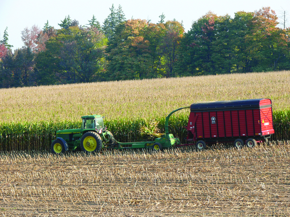 Photographie d'une moissonneuse-batteuse récoltant du maïs. La récolte est ensuite versée dans une benne tirée par un tracteur.