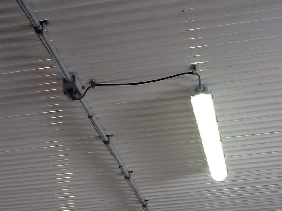 Photo shows a tube LED enclosed fixture attached to a ceiling. The tube LED bulb replaces a former T8 fluorescent bulb using the same fixture.