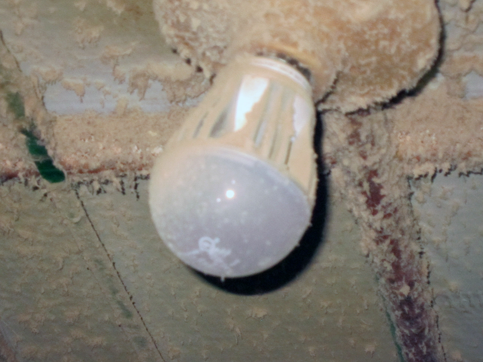 Photo showing an Edison style LED bulb, suspended from a ceiling, with heat dissipating fins covered in layers of insulating dust.