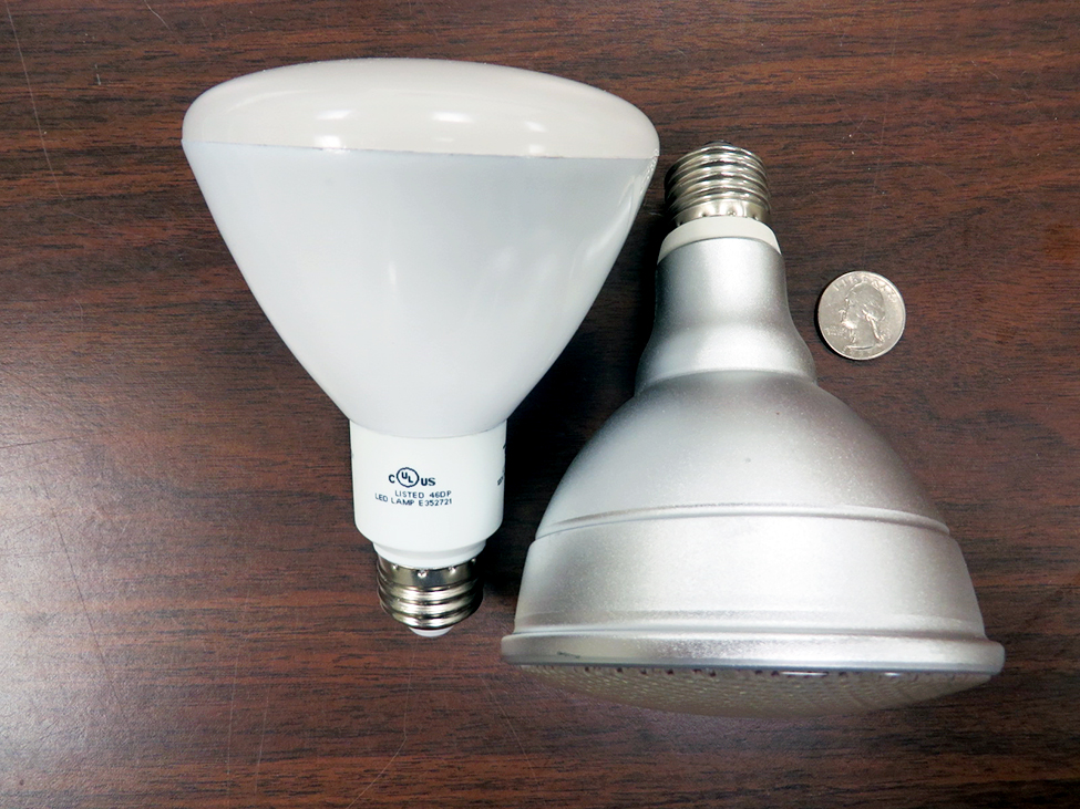 Photo showing two smooth-sided LED bulbs. There is a quarter in the photo to illustrate the size of bulbs.