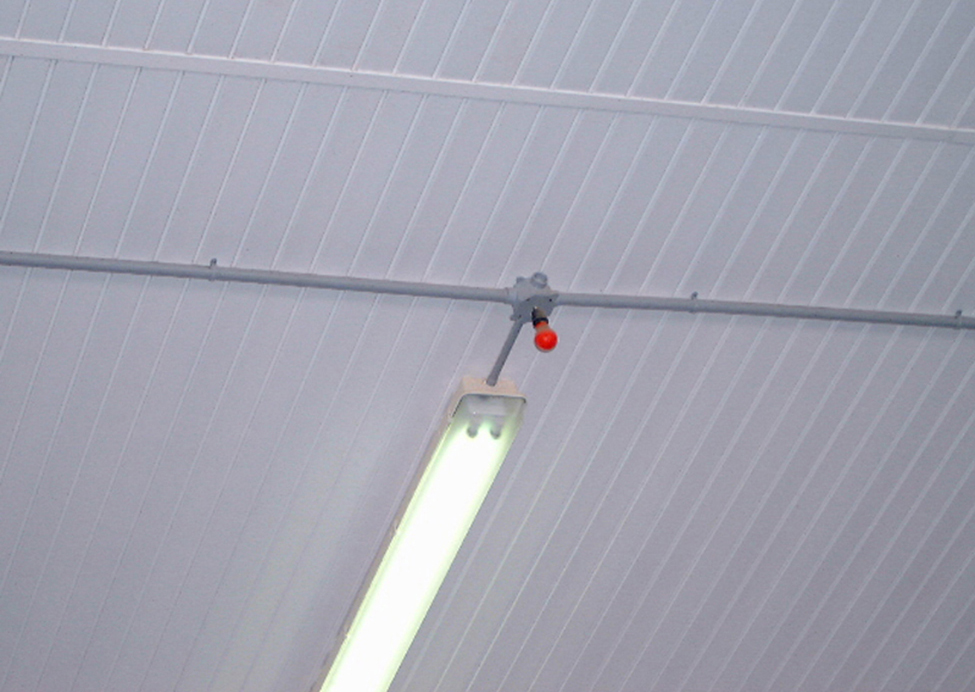 Lampe fluorescente compacte au plafond d’une étable avec une ampoule rouge à proximité.