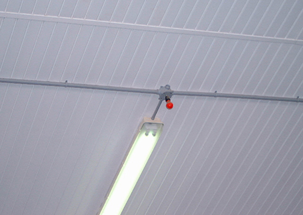 Compact fluorescent light on ceiling of barn with red light bulb near it