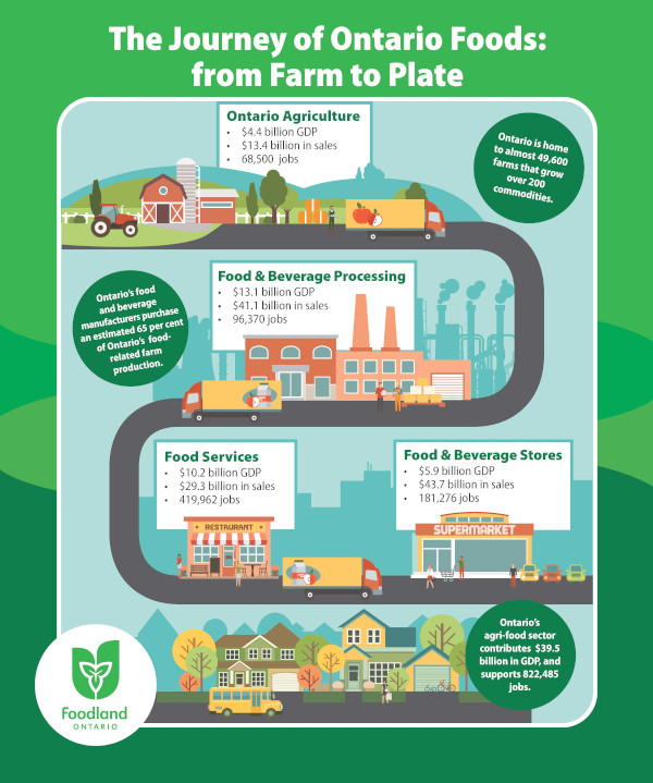 Le parcours des aliments de L'Ontario : de la ferme à l'assiette