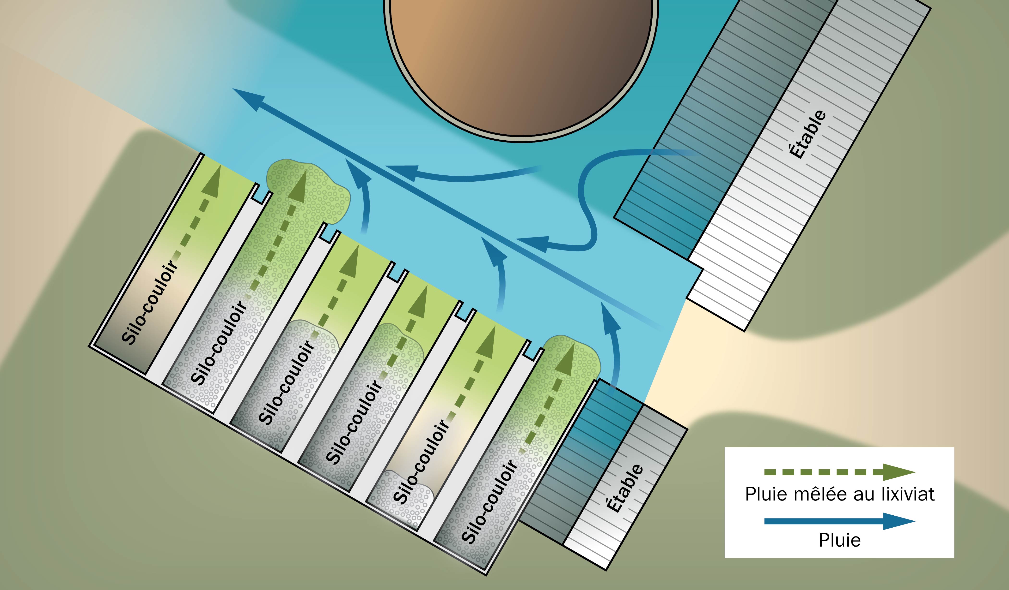 Diagramme d’un plan de ferme montrant les sources potentielles d’eaux propres qui peuvent se mélanger avec l’ensilage et les effluents d’ensilage.