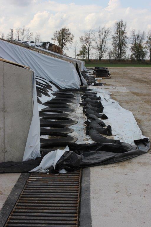 Photo shows same effluent collection trench running perpendicular to a filled concrete bunker silo. Plastic sheeting weighted with tires and sand bags covering the ensiled material extends out the end of bunker silo over the collection trench.