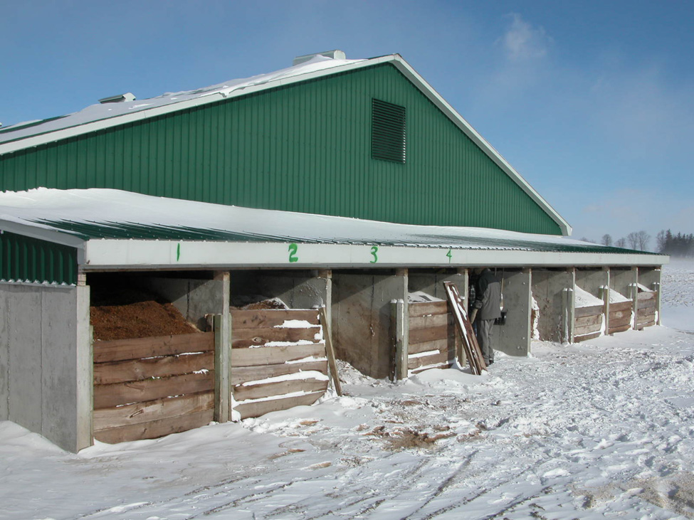Extrémité d’une porcherie, en janvier, avec neuf cellules distinctes pour le compostage. Chaque cellule comprend une barrière de bois qui maintient le substrat à l’intérieur.