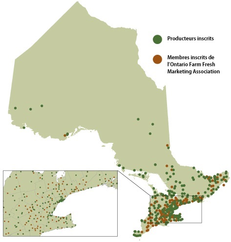 Cette carte montre qu'il y a 175 marchés de producteurs inscrits auprès de Farmer's Markets Ontario et 300 membres inscrits de l’Ontario Farm Fresh Marketing Association (p. ex. des marchés à la ferme et des initiatives d’agriculture soutenue par la collectivité) d’un bout à l’autre de l’Ontario, contribuant à accroître l’offre et les ventes de produits alimentaires cultivés localement.