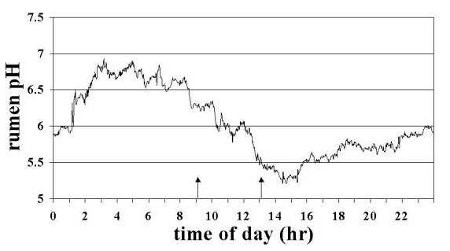 Line graph: Continuous rumen pH measurements from a Holstein cow over one day
