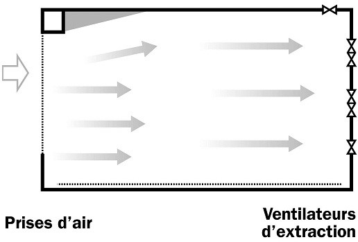 Croquis en plan d'un bâtiment d'élevage soumis à la ventilation longitudinale illustrant l'effet d'obstructions sur la trajectoire du flux d'air à l'intérieur.