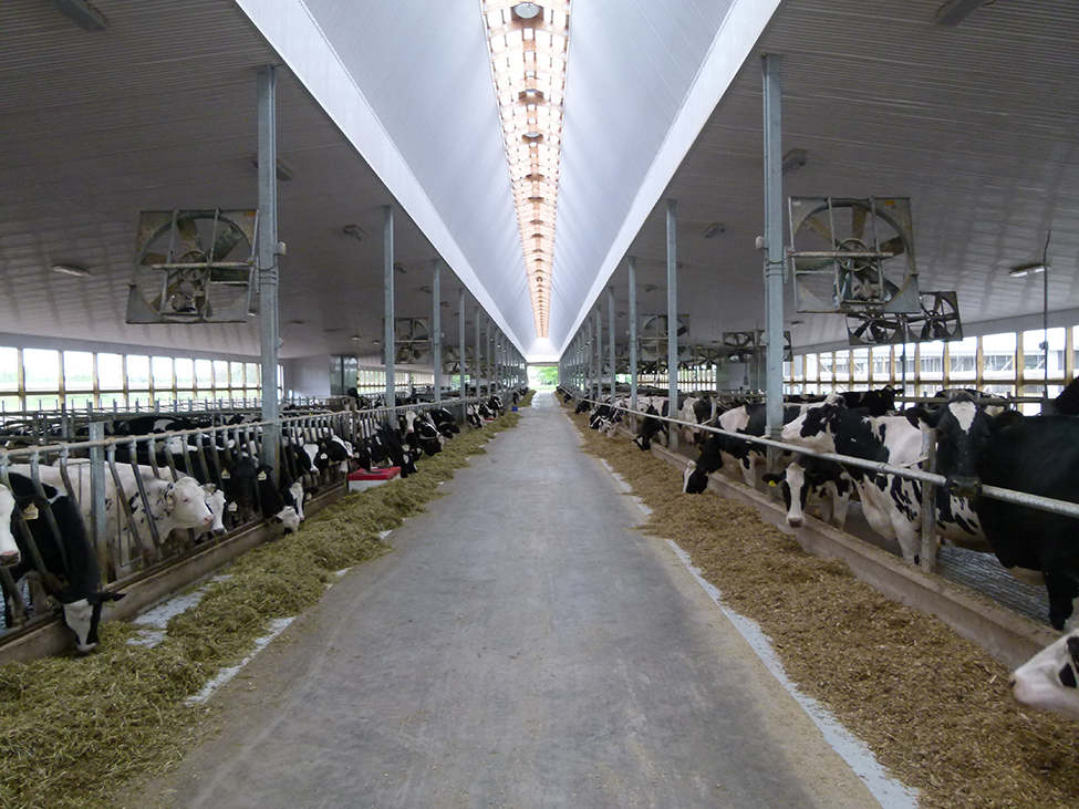 Positive pressure air tube ventilation for calf housing