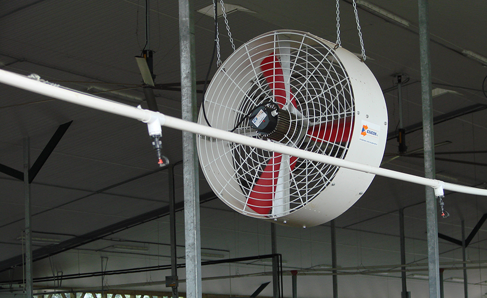 close-up of sprinklers mounted above cows