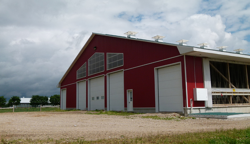 front end of a naturally ventilated dairy barn with side wall curtain up